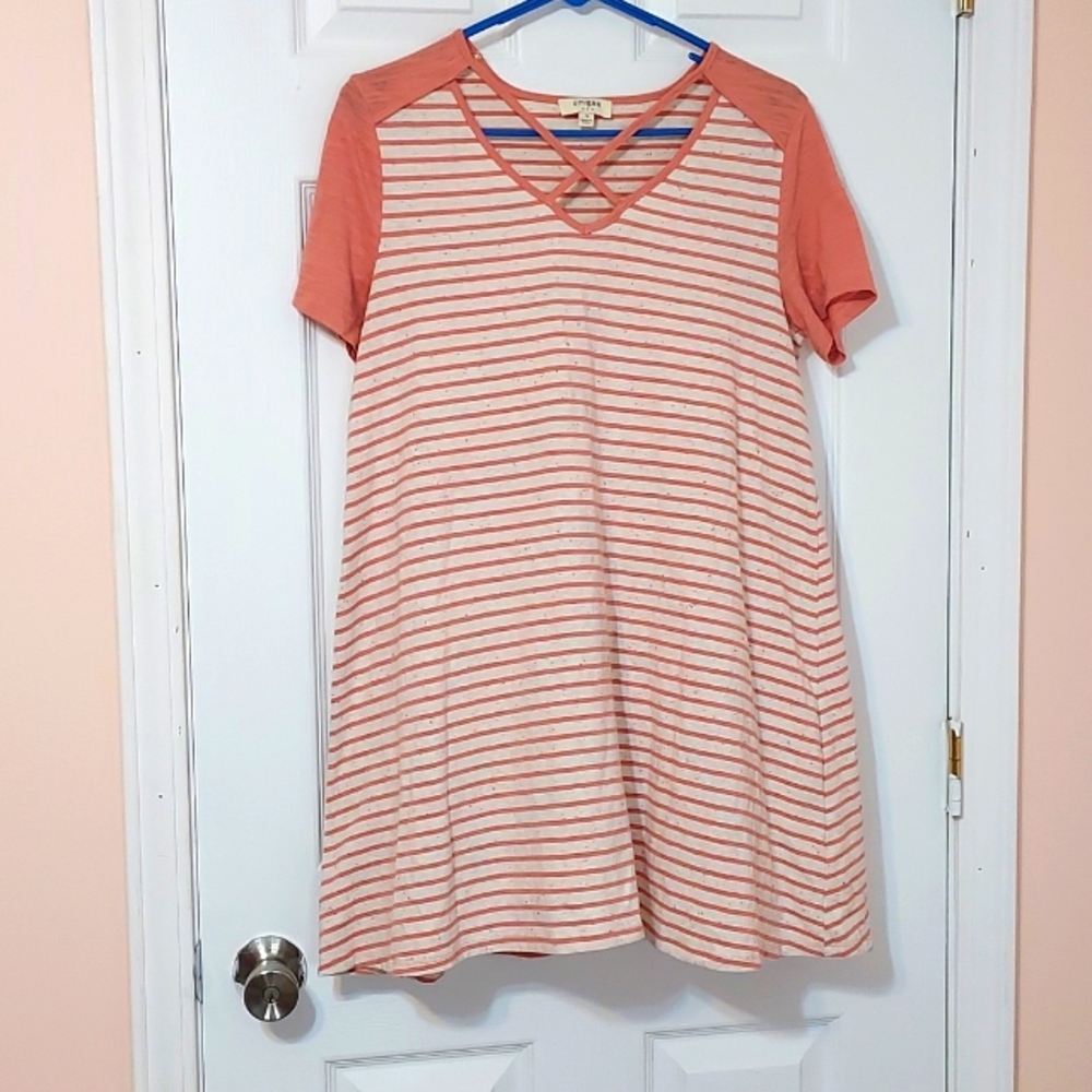 Womens  Size Small Pink Stripe V neck Umgee Shirt